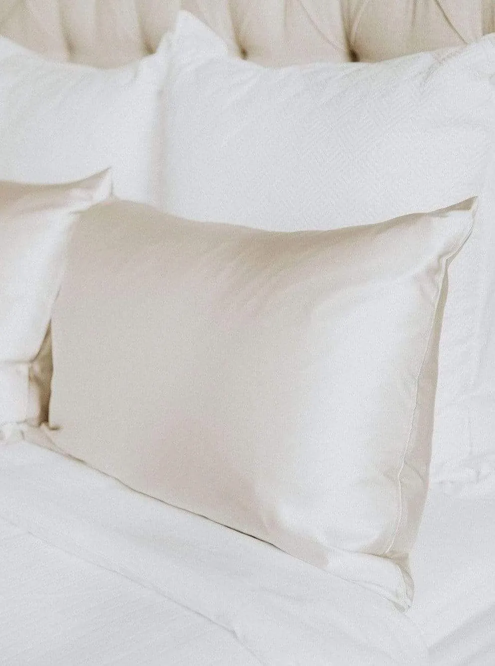 100% Mulberry Silk Pillow Case