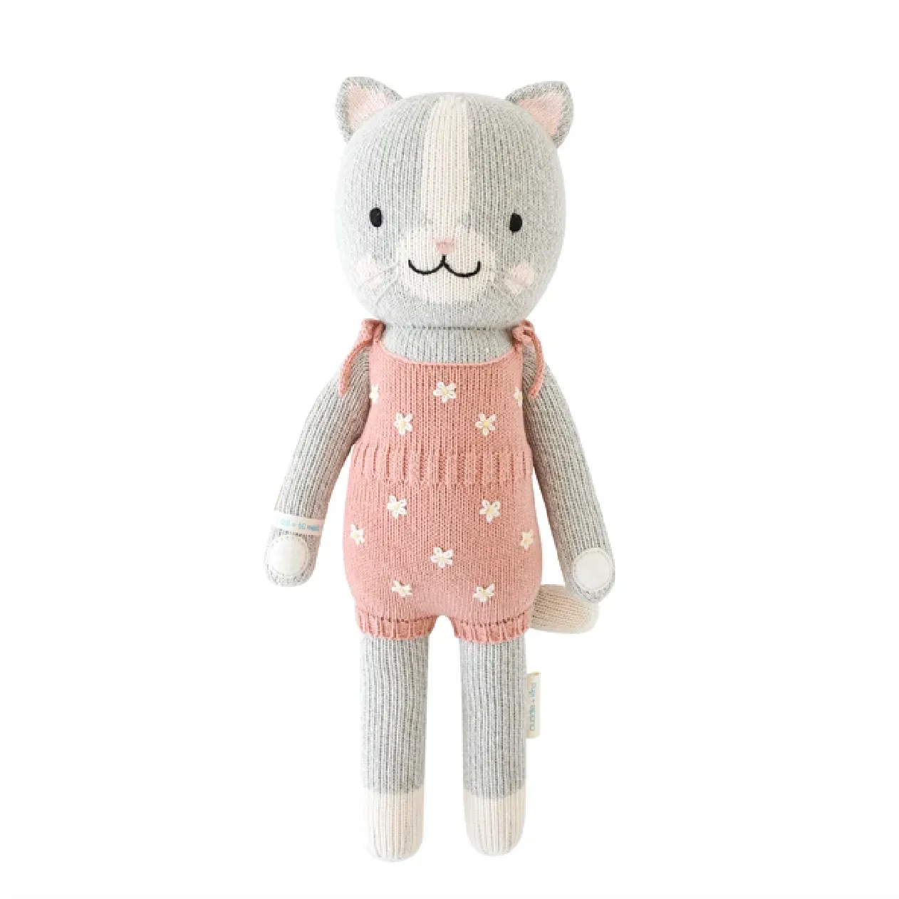 Daisy the Kitten by Cuddle   Kind