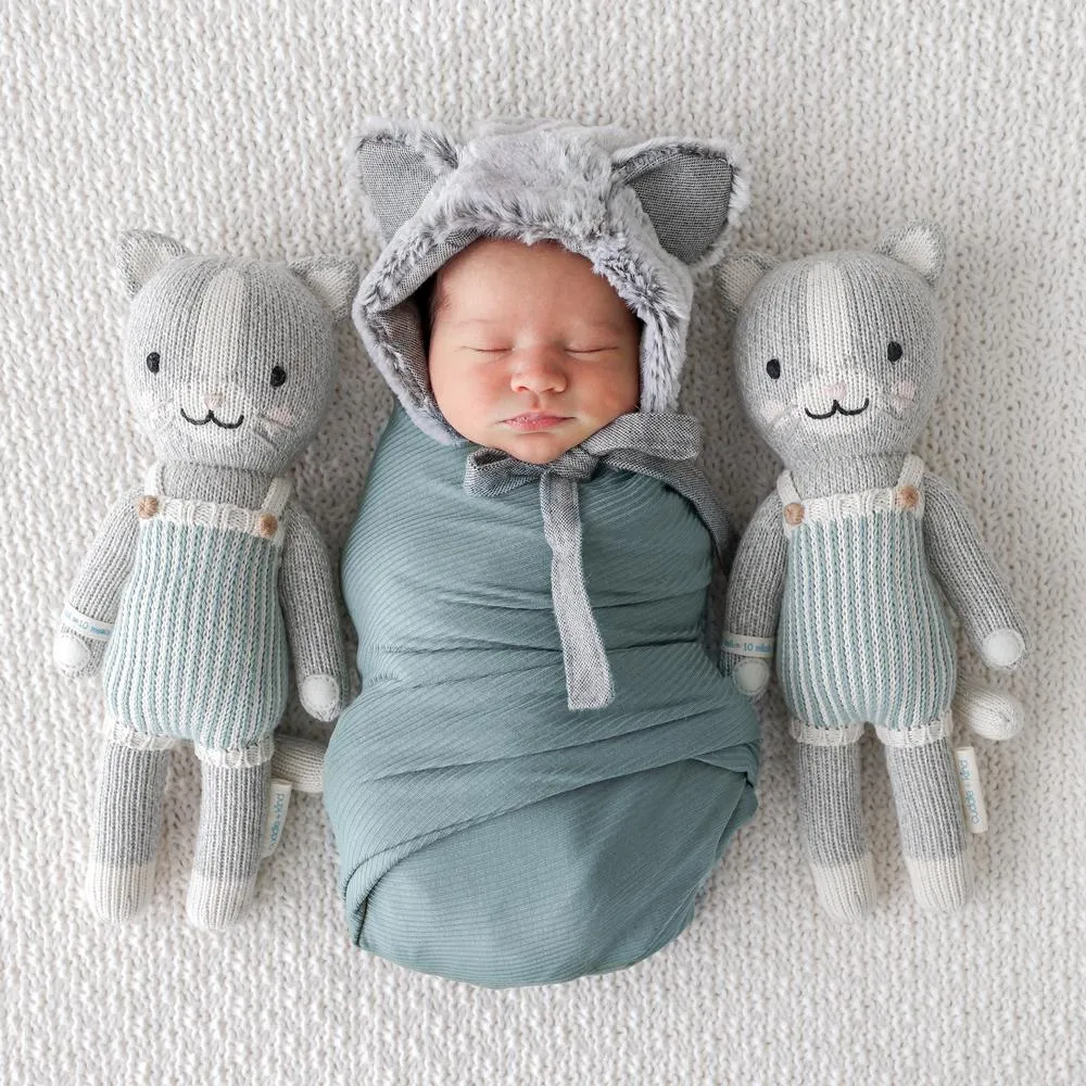 Dylan the Kitten by Cuddle   Kind